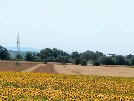 Splendido Ampio A Lägenhet *